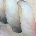 Best Fluke in Hillsdale, NJ