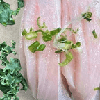 Best Yellowtail in Hillsdale, NJ